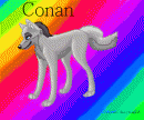 Conan