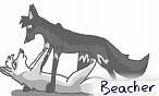 Beacher