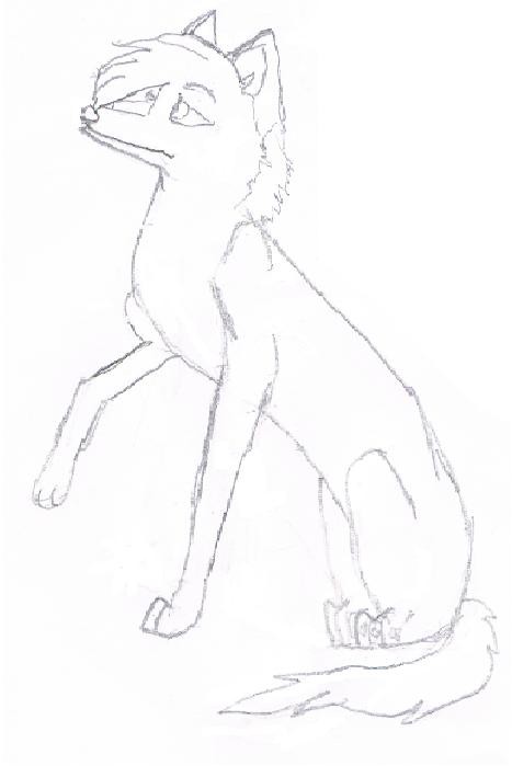 ...just a wolf