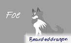 beardeddragon
