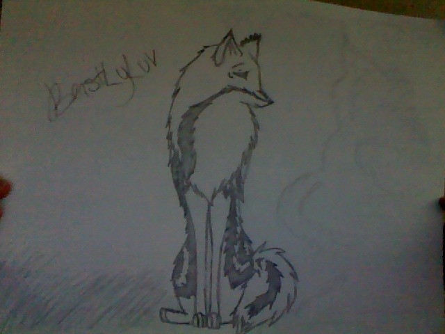 Random drawing for practice of my Fursona