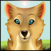 Wolf Dog Puppy