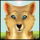 Wolf Dog Puppy