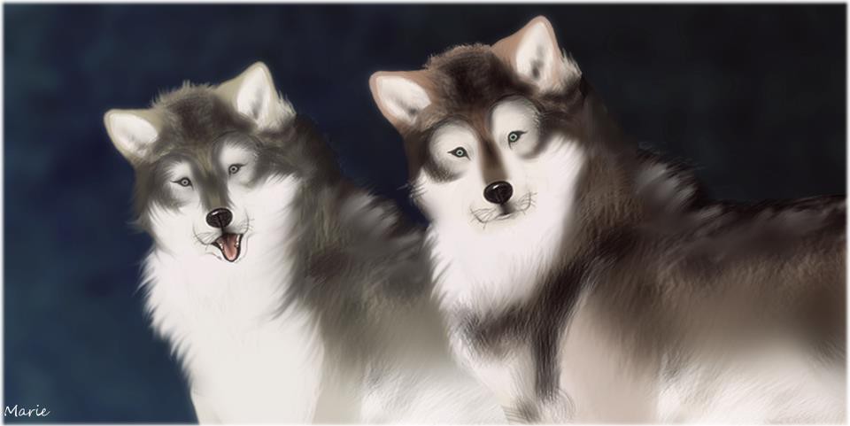 Wolf Twins