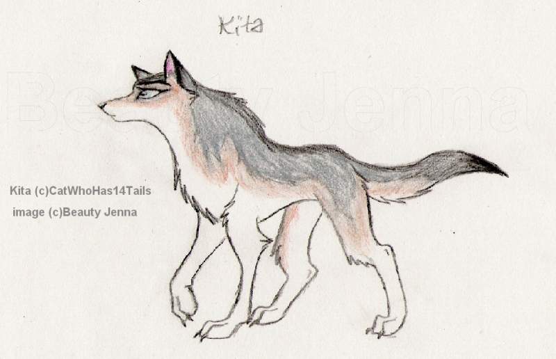 Kita