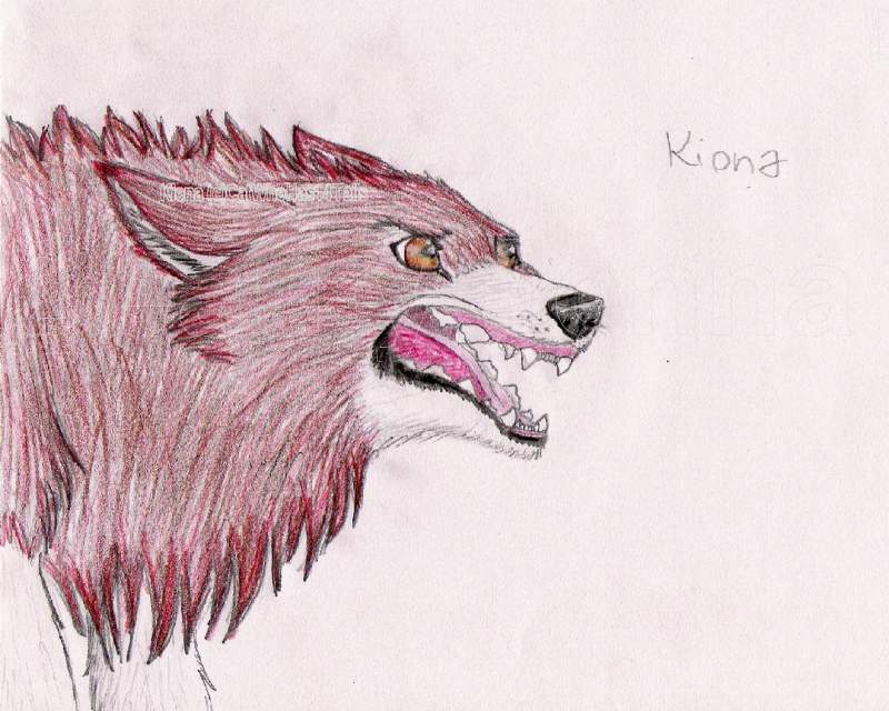 Kiona
