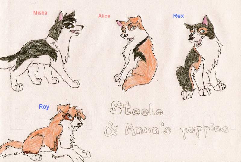 2nd litter of Anna and Steele!