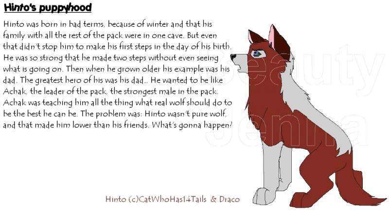 Hinto's puppyhood