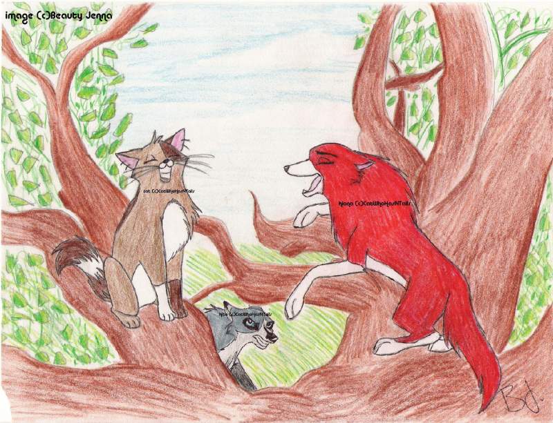 Cat - Kiona's best friend
