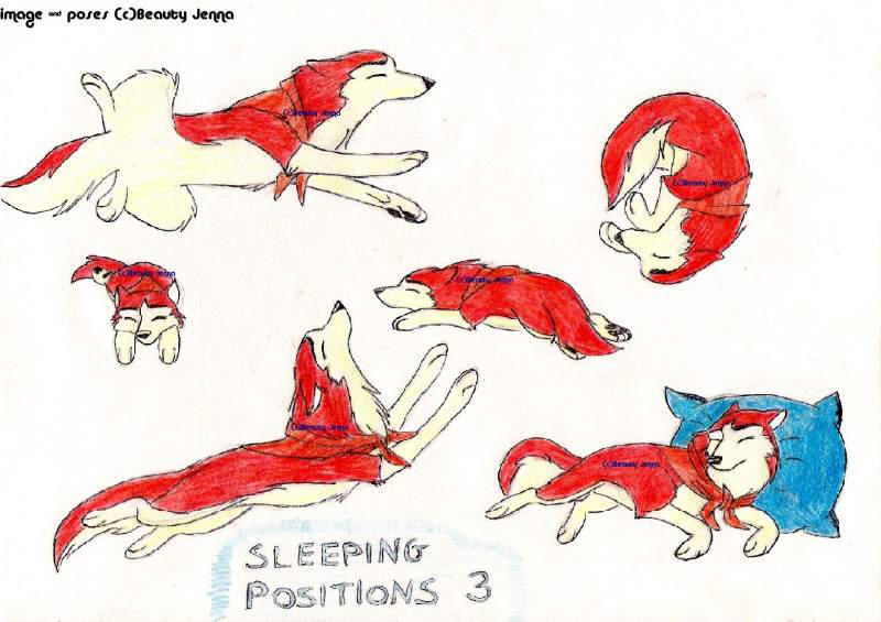 Sleeping Positions 3
