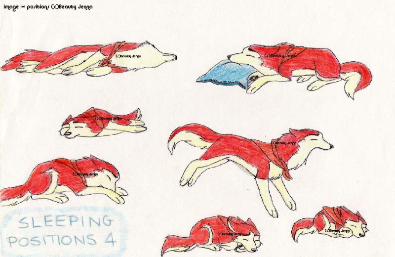 Sleeping positions 4