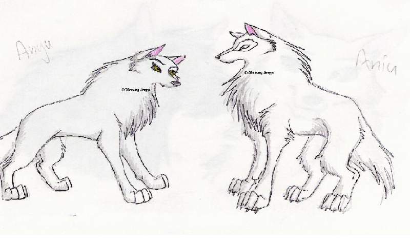 Anyu & Aniu