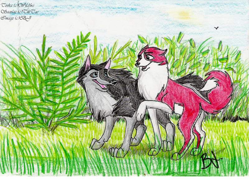 Toska & Sarlaac