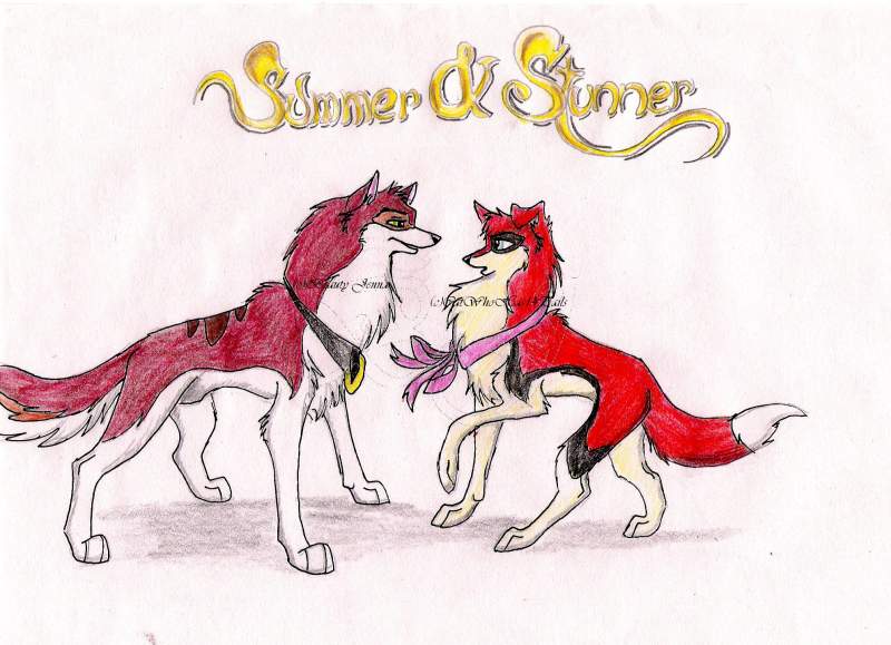 Summer 