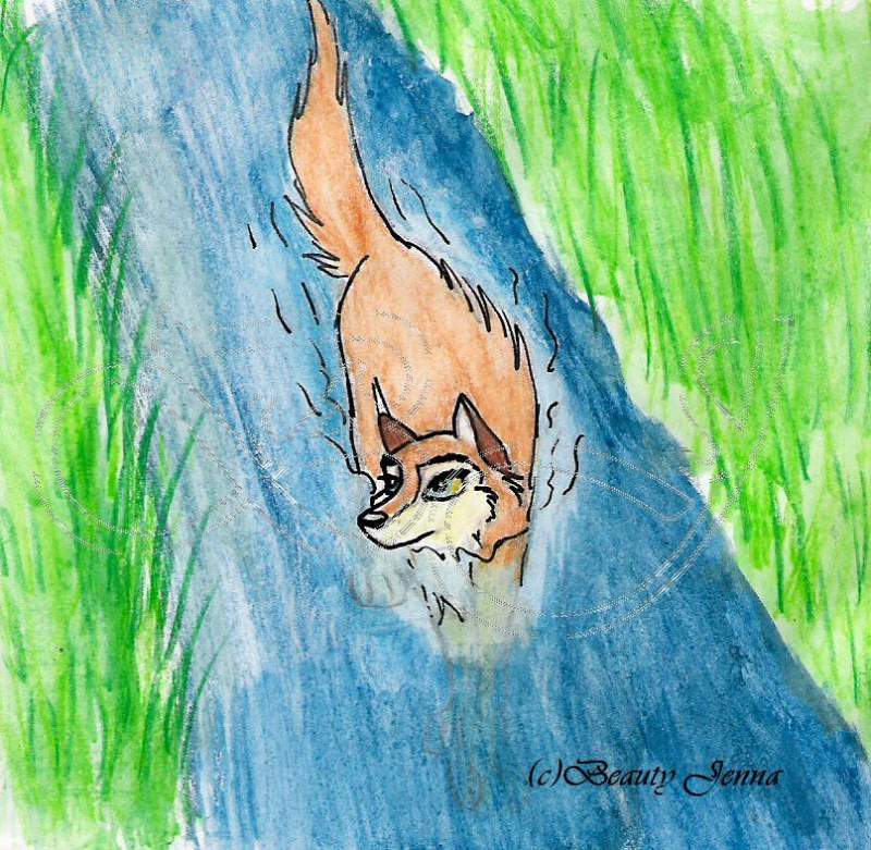 Aleu
