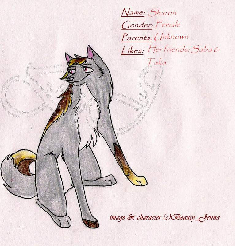 New character
