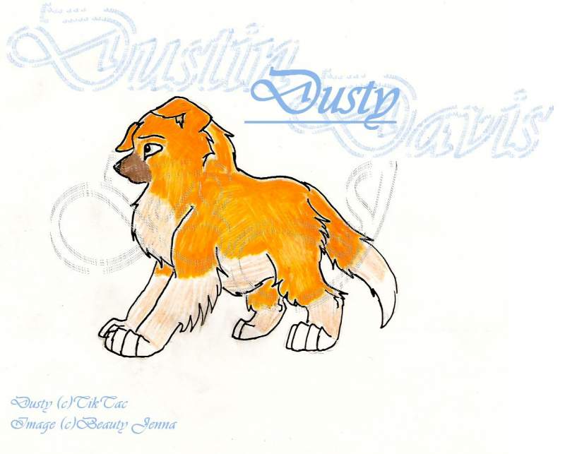 Puppy Dusty