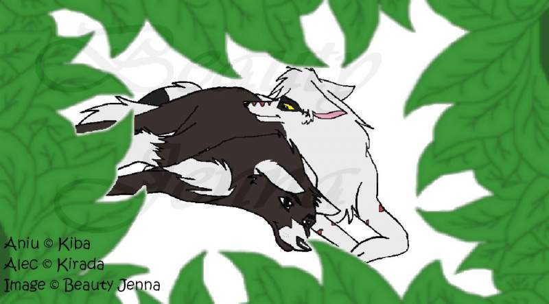 Among the Leaves