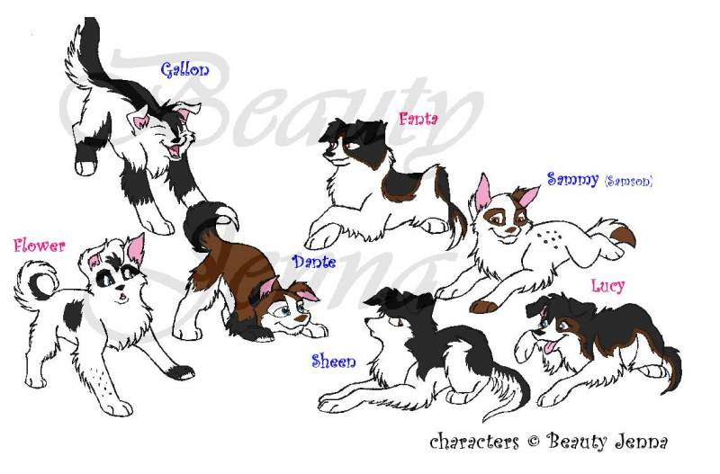 Puppy Season/Border Collie Season