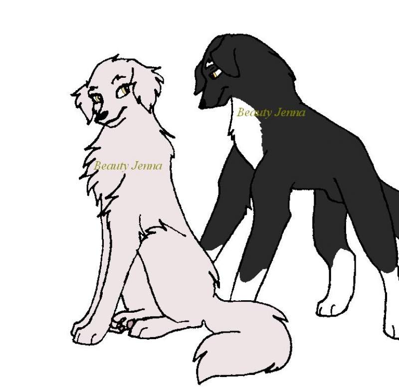 Dandy & Stappy