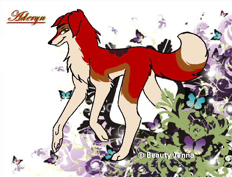 	Aderyn