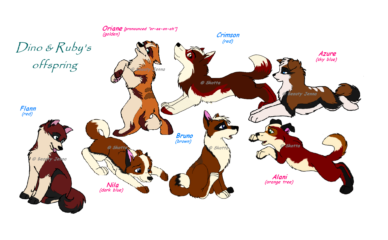 The Joyful Seven Colors