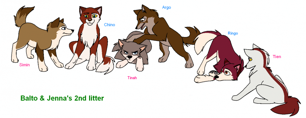 Balto + Jenna's 2nd litter