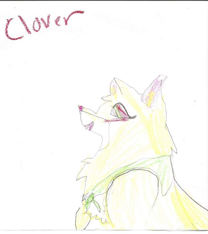 Clover