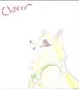Clover