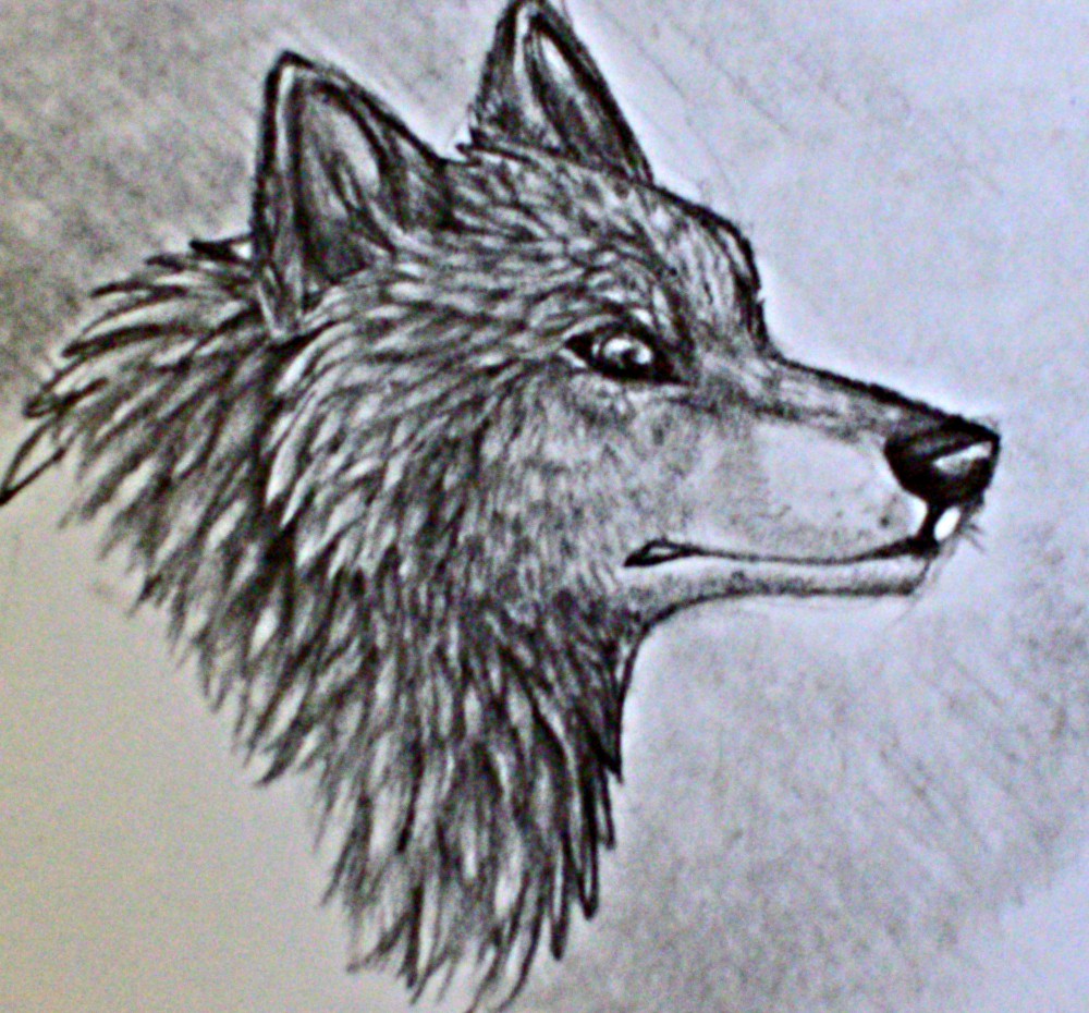 another fast sketch