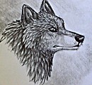another fast sketch
