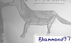 bhammond97
