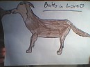 balto in love