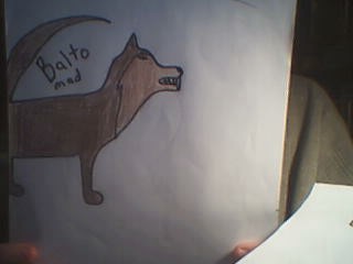balto a mad husky/wolf