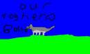 our dog hero
