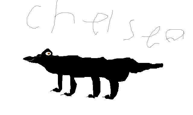 black lab
