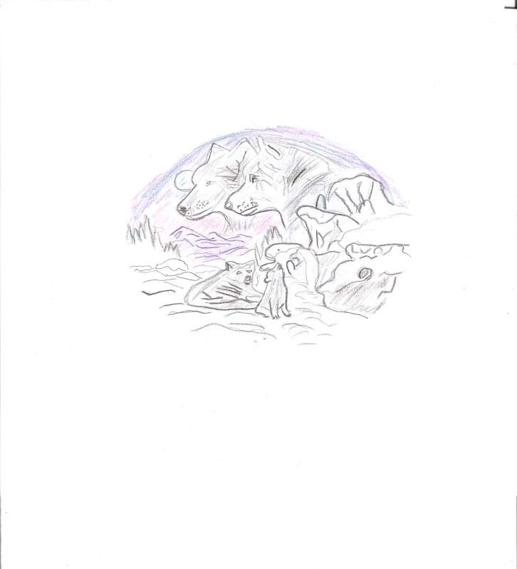 random wolf 