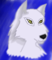 sneek peek