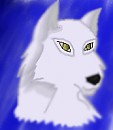 sneek peek