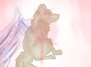 Canada/Cananada day wolf