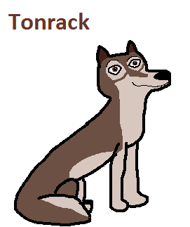 Tonrack by sweet 