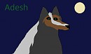 Adesh by Animha