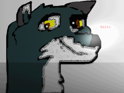 Balto with a New Program