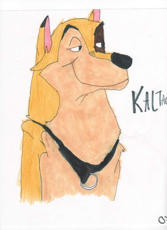 Kaltag