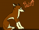 Balto!