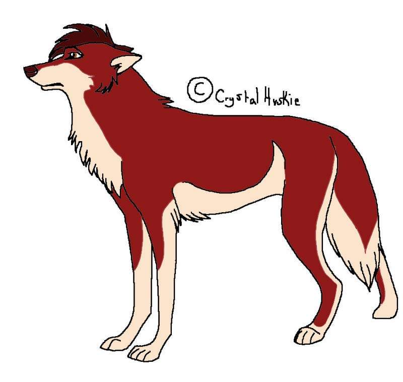 Duke