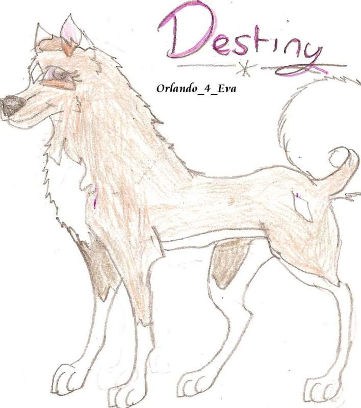 Destiny
