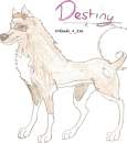 Destiny