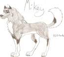 Mikey