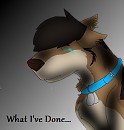 .::What I've Done::.